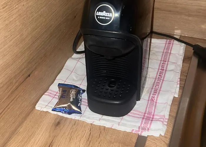 Plant Διαμέρισμα Τίρανα